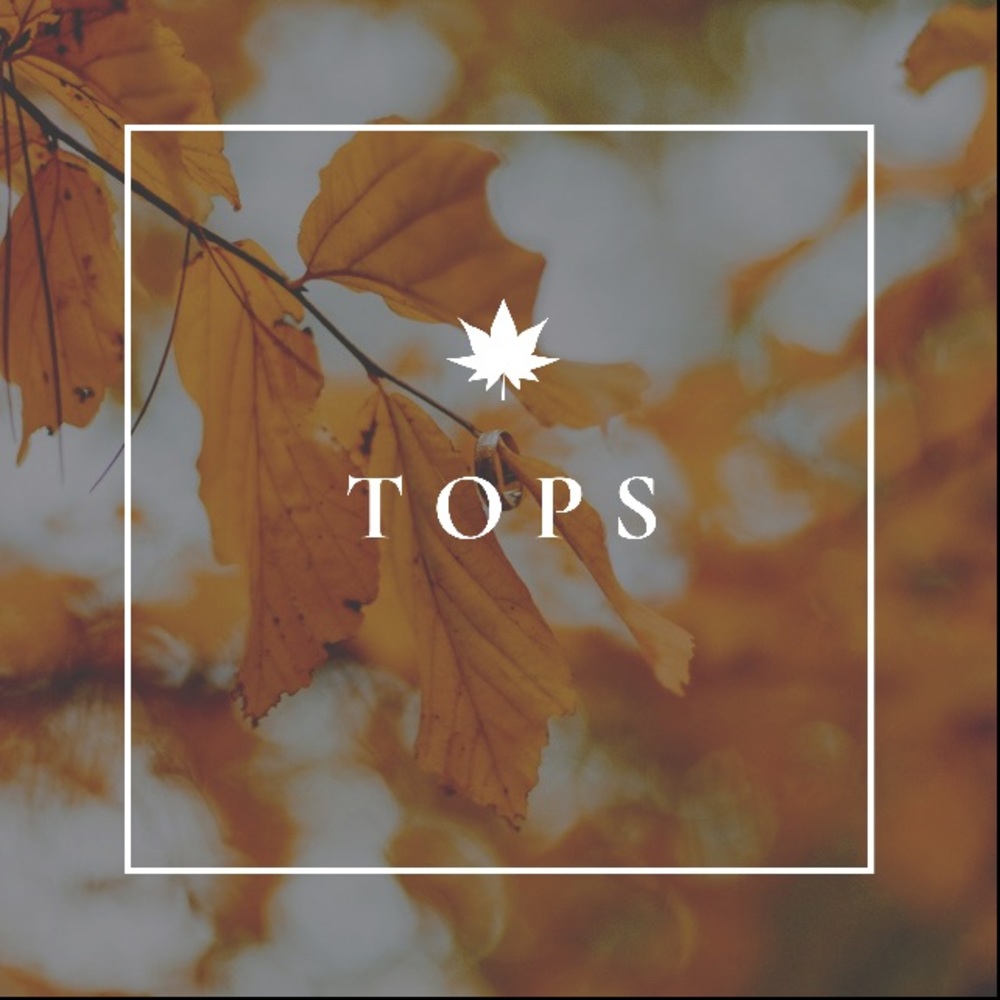 Tops - Picture 5 of 7